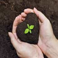 YFP Cultivate Power YFP Cultivate Power